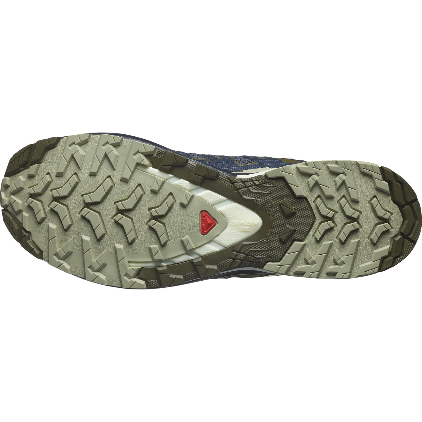 XA PRO 3D V9 Men Outdoor Shoes in India Ink / Olive Night / Aloe Wash